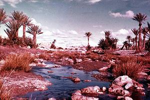 Colomb Bechar 045-collection Monneret